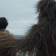 Chewie is the best dad.
